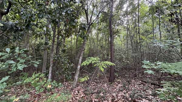 0.26 Acres of Residential Land for Sale in Ocean Springs, Mississippi