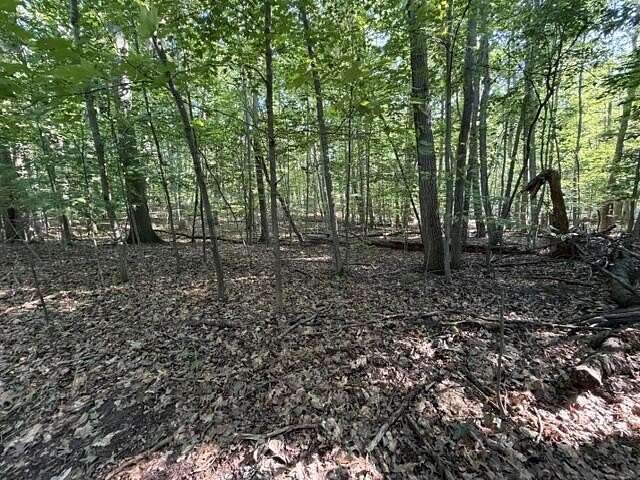 0.38 Acres of Land for Sale in Ludington, Michigan