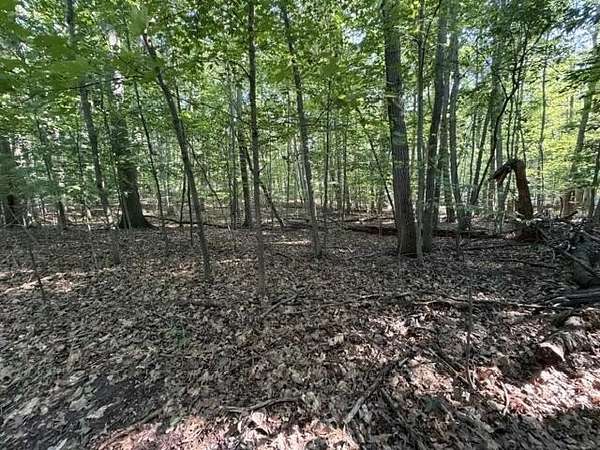 0.38 Acres of Land for Sale in Ludington, Michigan