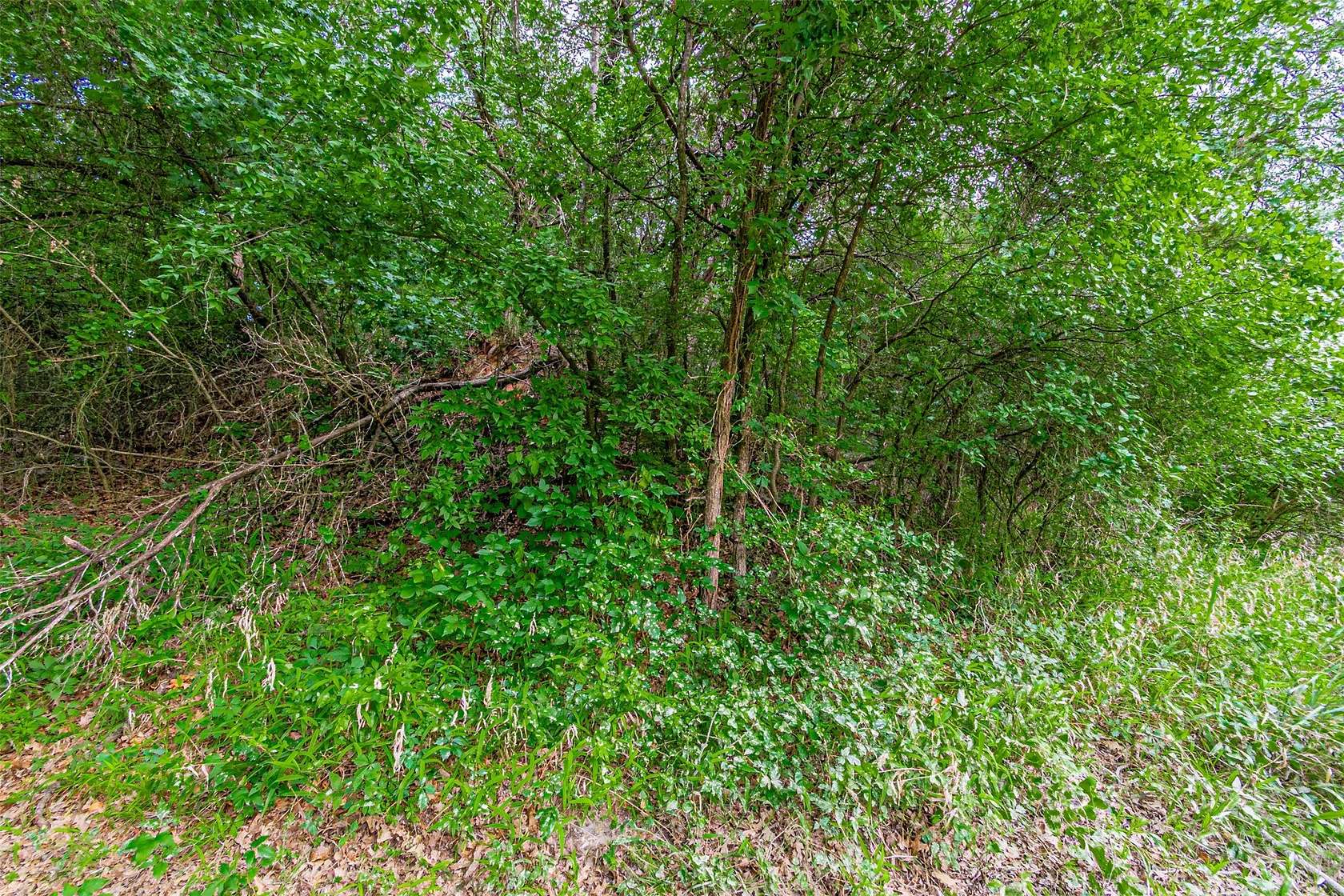 0.53 Acres of Residential Land for Sale in Granbury, Texas