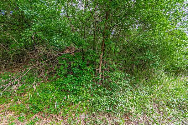 0.53 Acres of Residential Land for Sale in Granbury, Texas