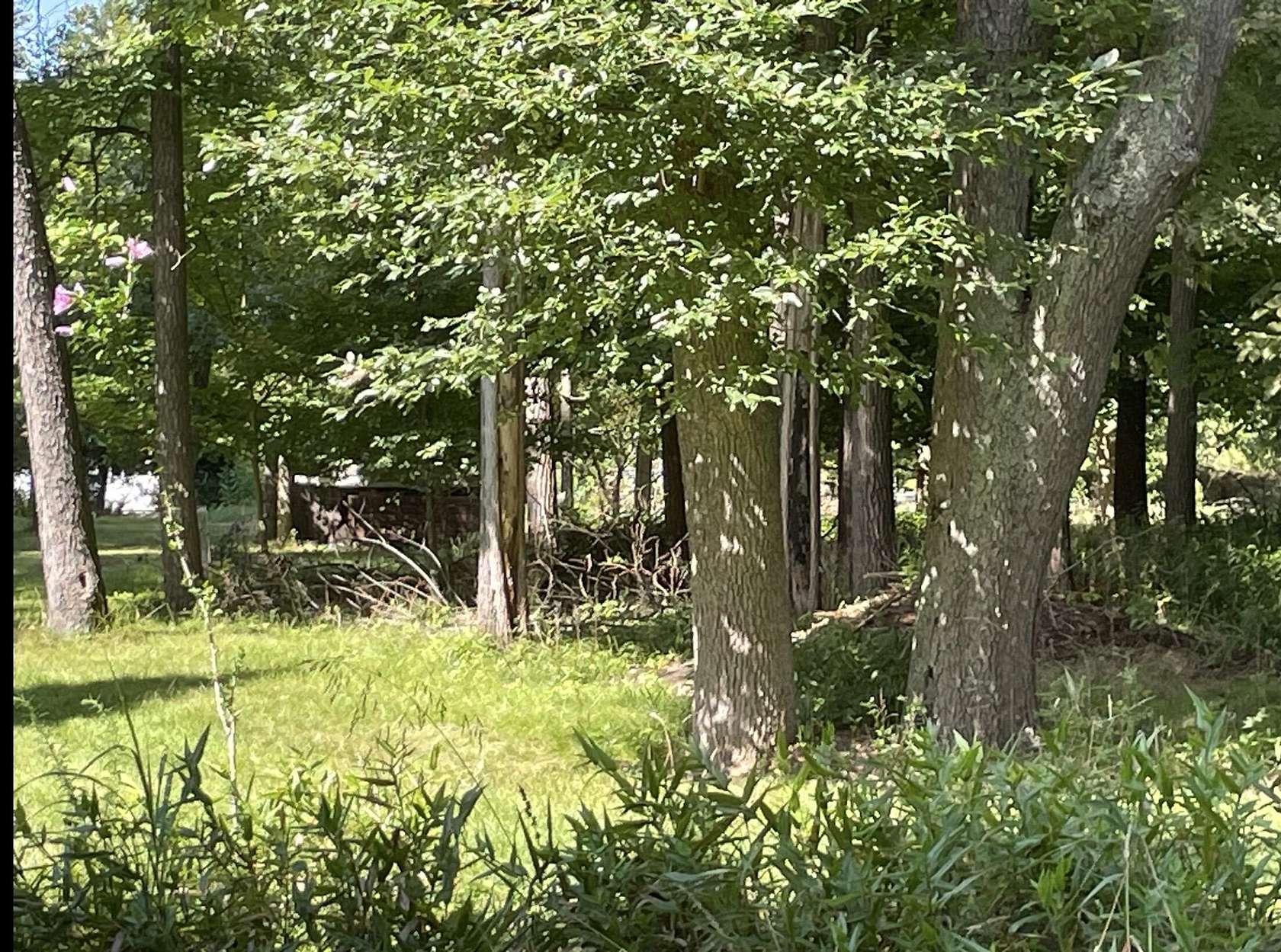 0.9 Acres of Residential Land for Sale in Sawyer, Michigan