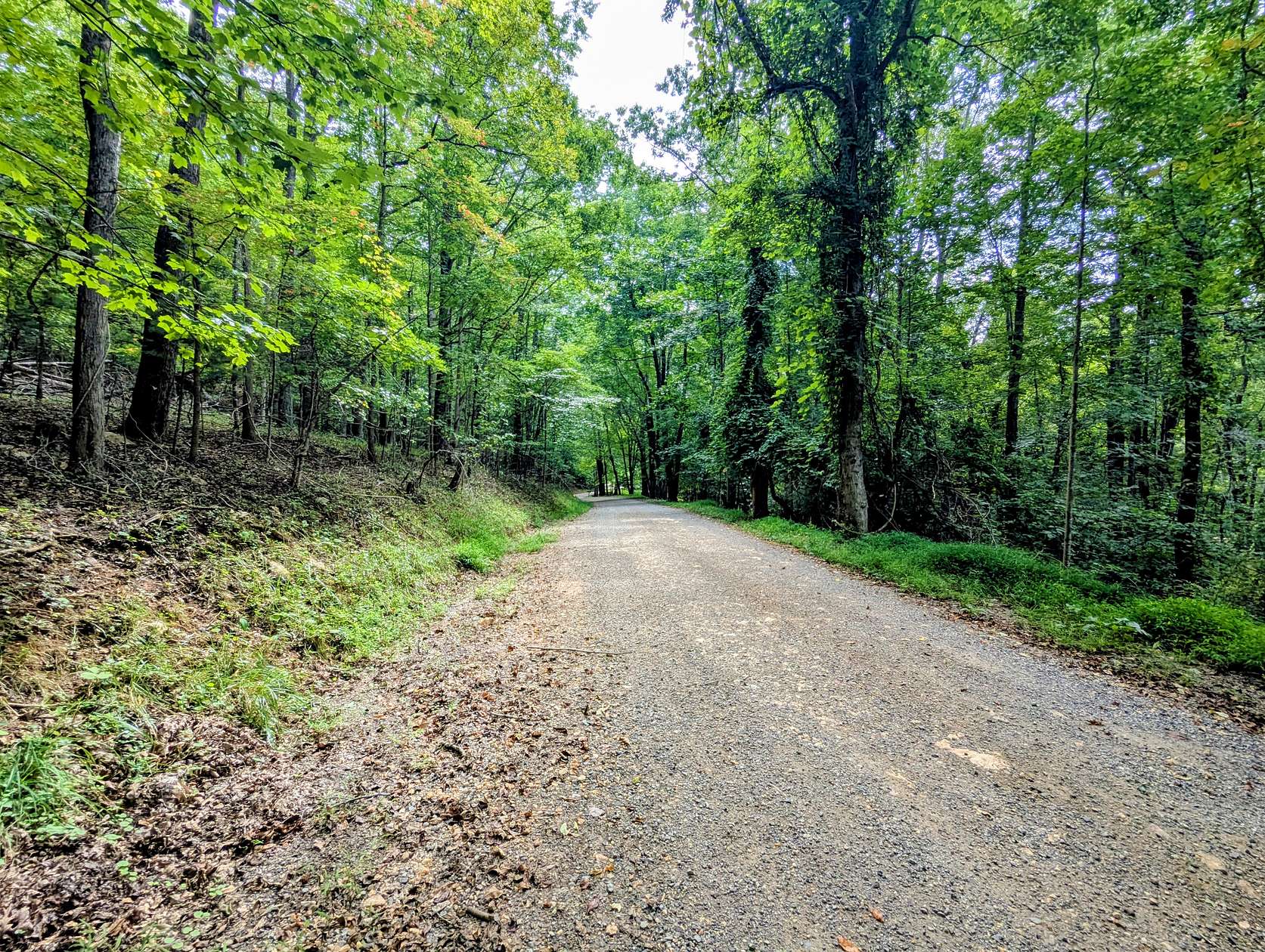 3 Acres of Residential Land for Sale in Floyd, Virginia