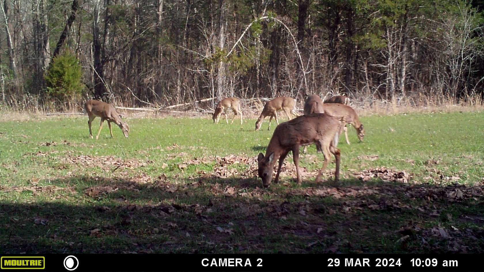 158 Acres of Land for Sale in Jonesburg, Missouri