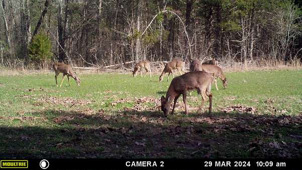 158 Acres of Land for Sale in Jonesburg, Missouri