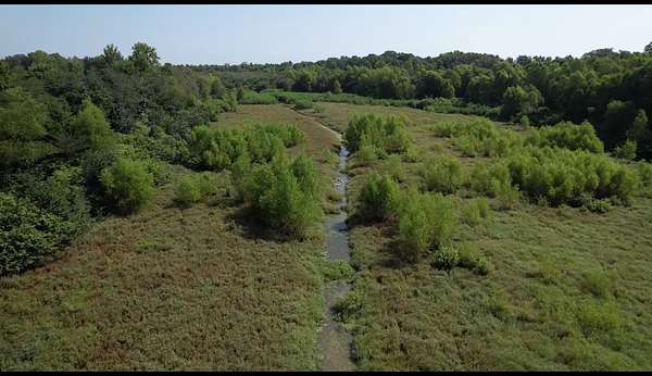 447 Acres of Land for Sale in Portland, Arkansas