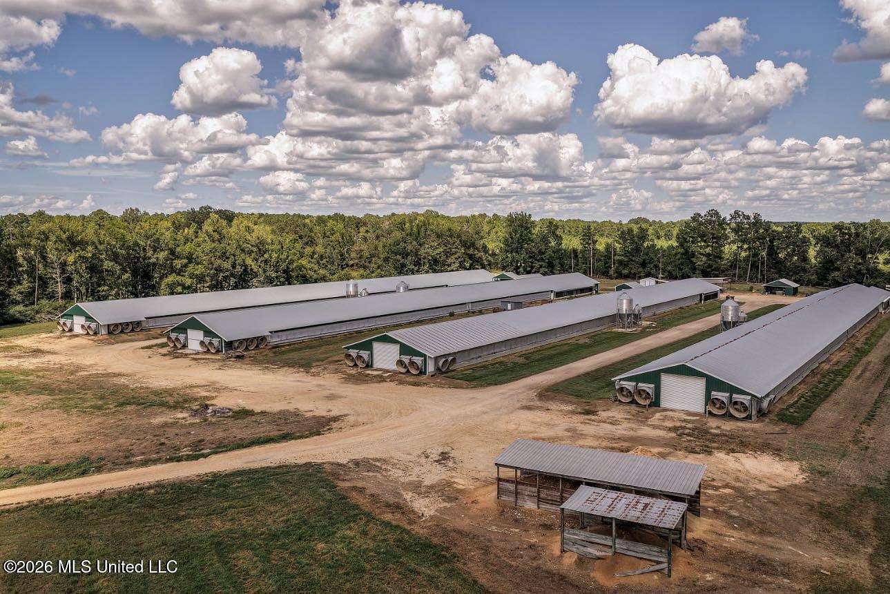 40 Acres of Agricultural Land with Home for Sale in Silver Creek, Mississippi