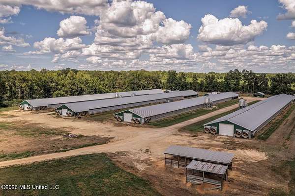 40 Acres of Agricultural Land with Home for Sale in Silver Creek, Mississippi