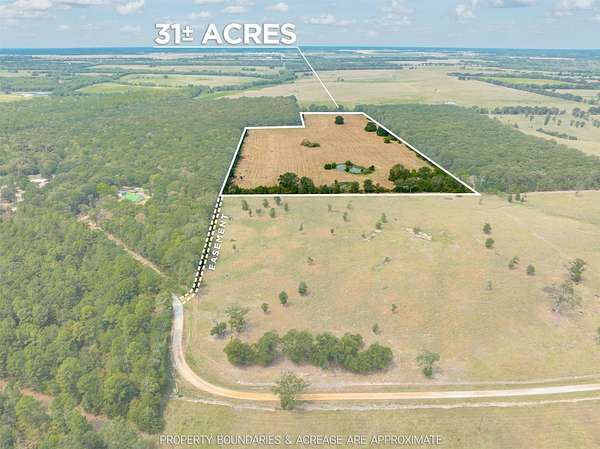 31 Acres of Recreational & Residential Land for Sale in Bogata, Texas