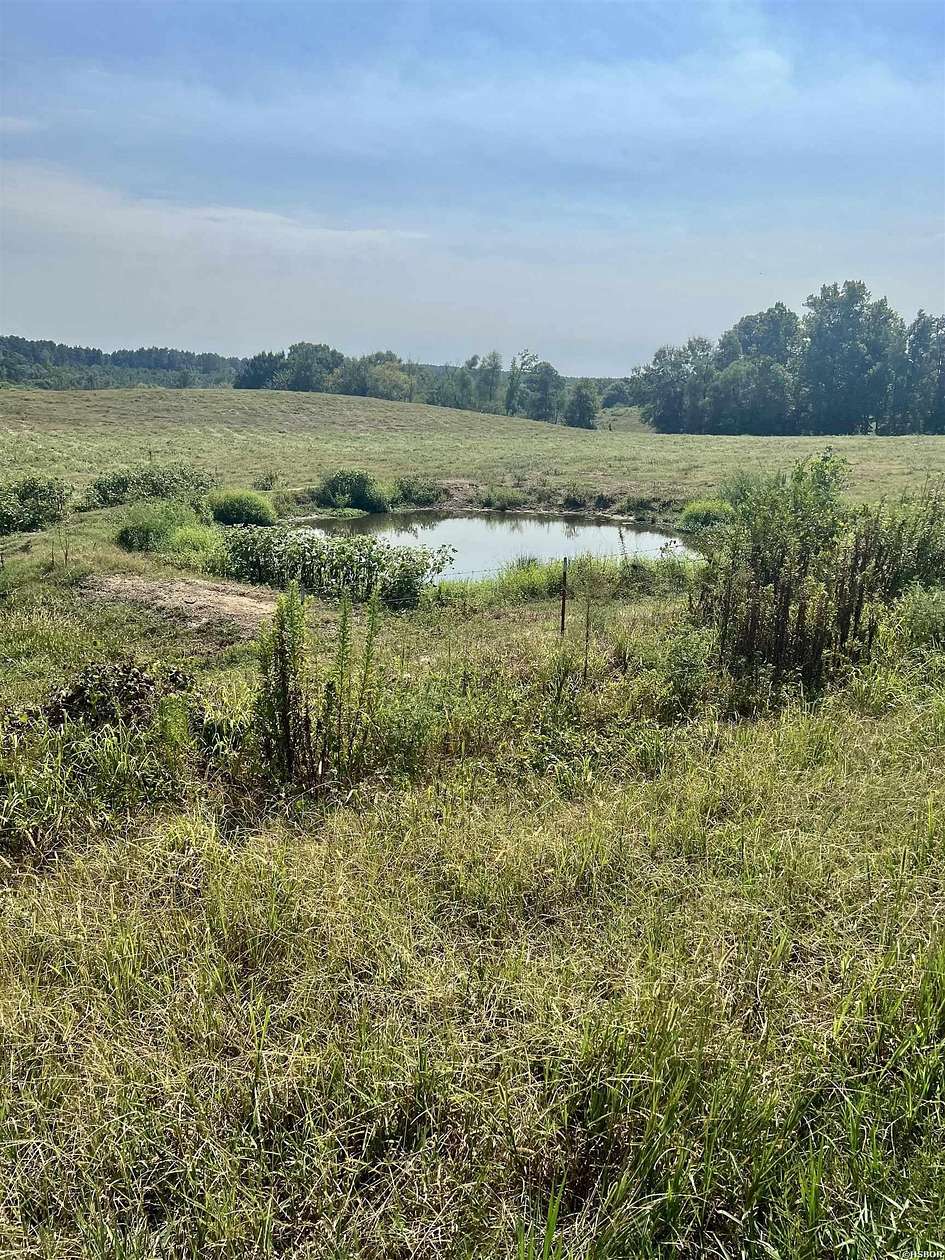 106 Acres of Agricultural & Residential Land for Sale in Umpire, Arkansas