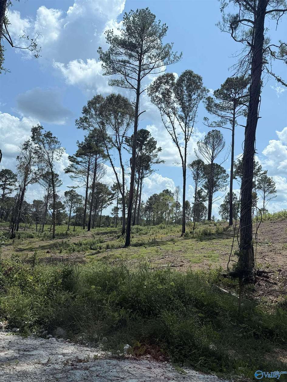 3 Acres of Residential Land for Sale in Centre, Alabama