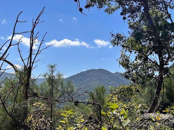 10 Acres of Residential Land for Sale in Sylva, North Carolina