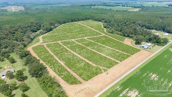 1.5 Acres of Land for Sale in Jay, Florida
