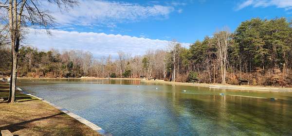 42 Acres of Land for Sale in Blacksburg, South Carolina