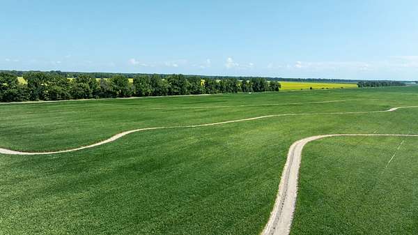 513 Acres of Land for Sale in Hickory Ridge, Arkansas