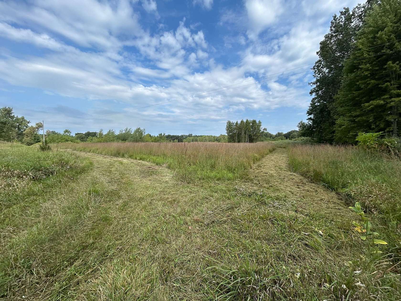 40 Acres of Recreational Land for Sale in Hillsdale, Michigan