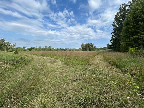 40 Acres of Recreational Land for Sale in Hillsdale, Michigan