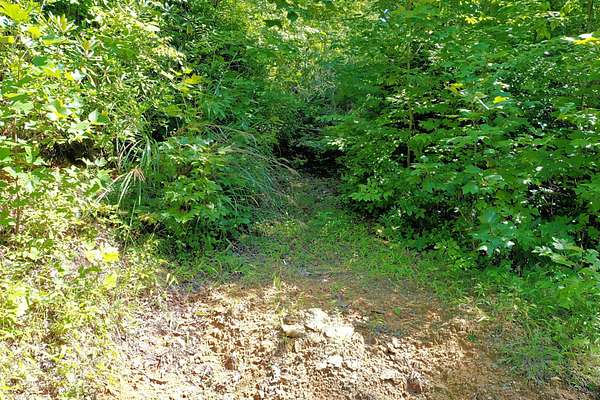 6 Acres of Land for Sale in Fletcher, North Carolina