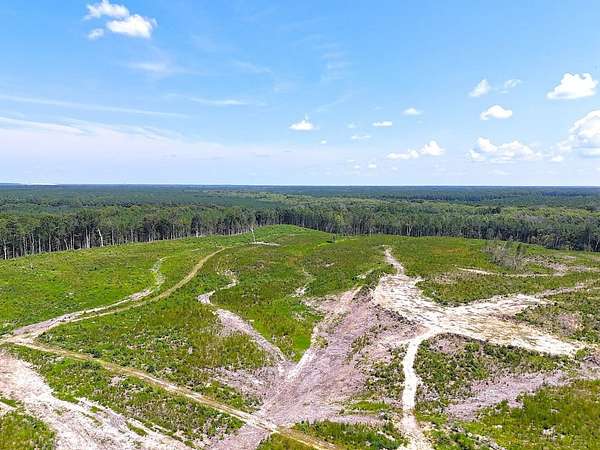 125 Acres of Recreational Land for Sale in Waverly, Virginia