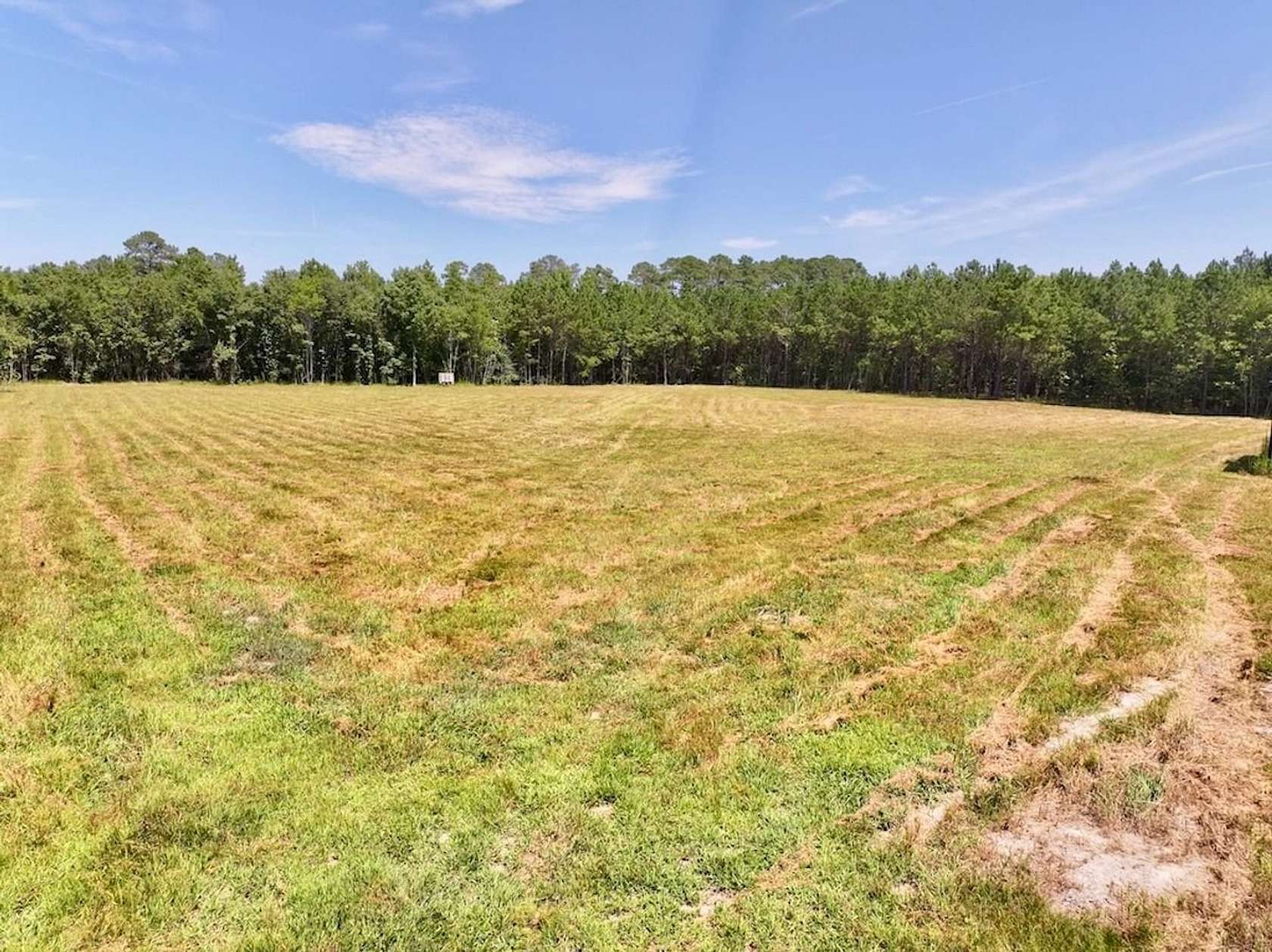 17.5 Acres of Recreational Land for Sale in Battleboro, North Carolina