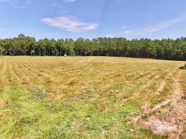 17.5 Acres of Recreational Land for Sale in Battleboro, North Carolina