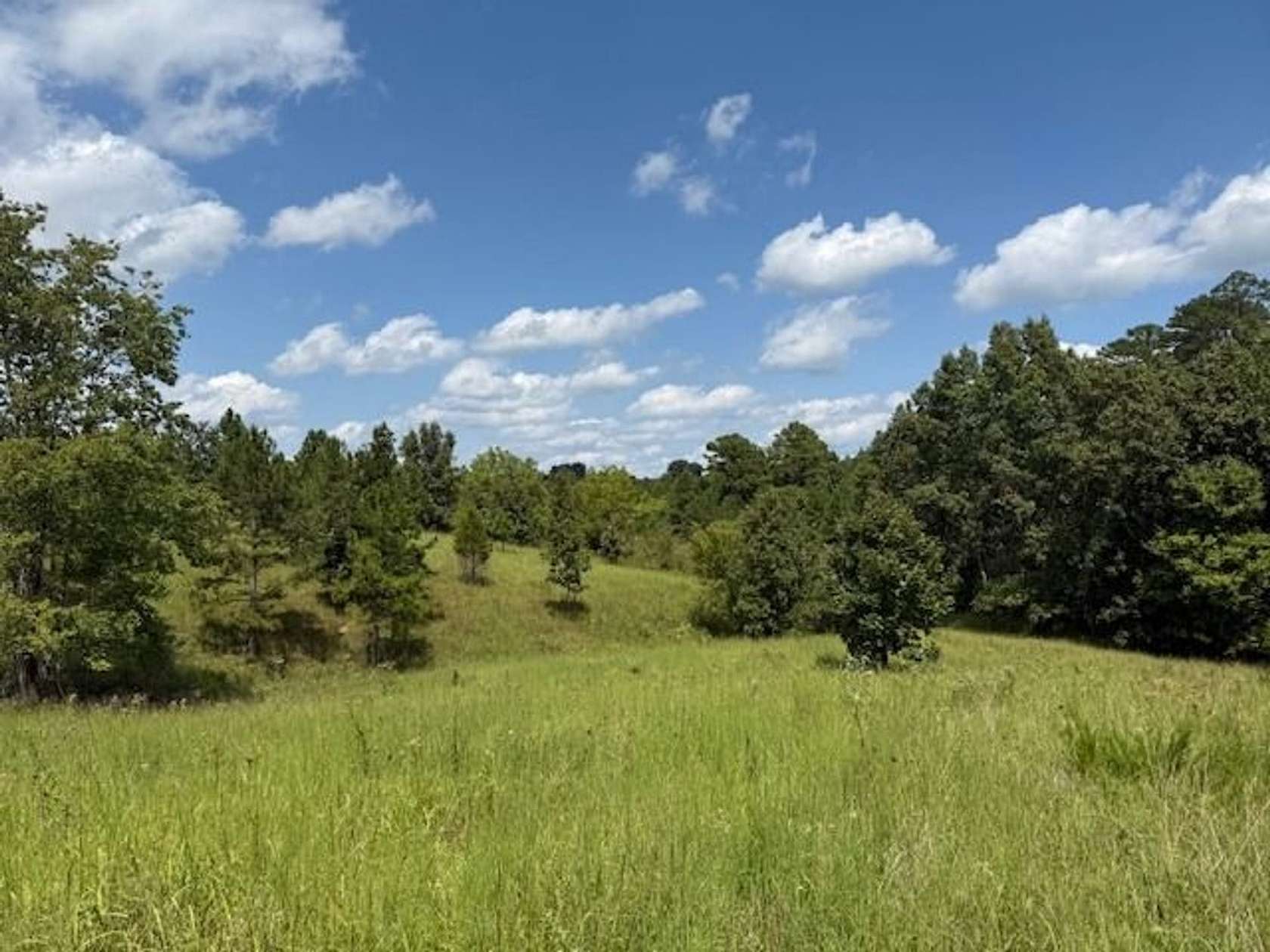 233 Acres of Land for Sale in Mountain View, Missouri