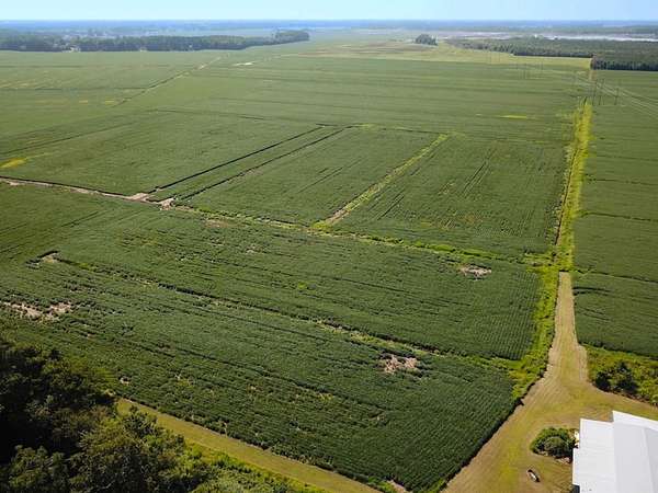 11.8 Acres of Land for Sale in Chesapeake, Virginia