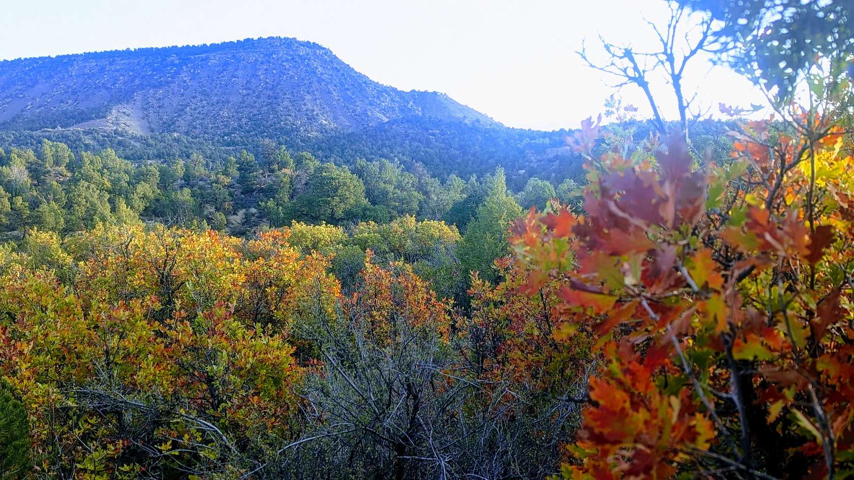 622 Acres of Recreational & Residential Land for Sale in Durango, Colorado