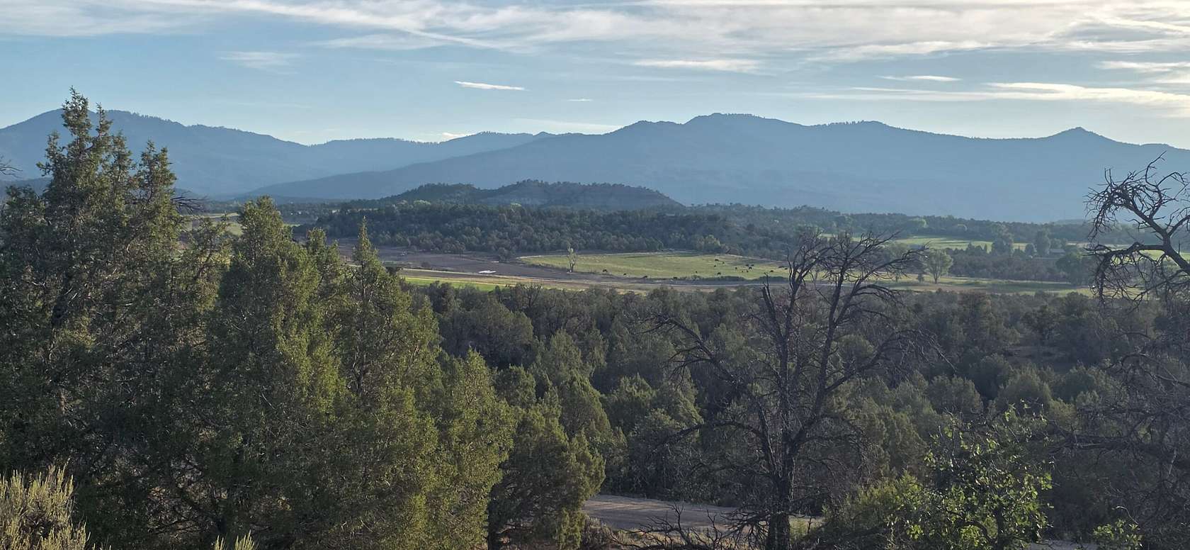 3 Acres of Residential Land for Sale in Ignacio, Colorado