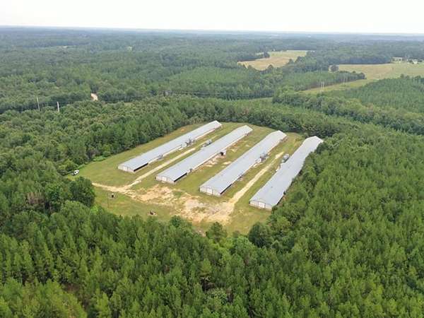 25 Acres of Agricultural & Residential Land for Sale in Andalusia, Alabama