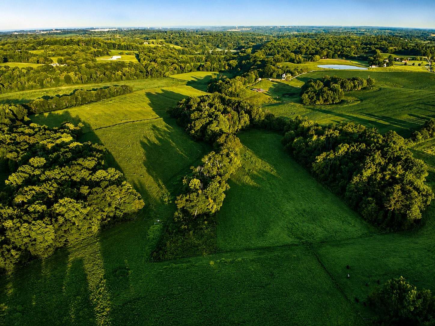 60 Acres of Land for Sale in Springfield, Tennessee