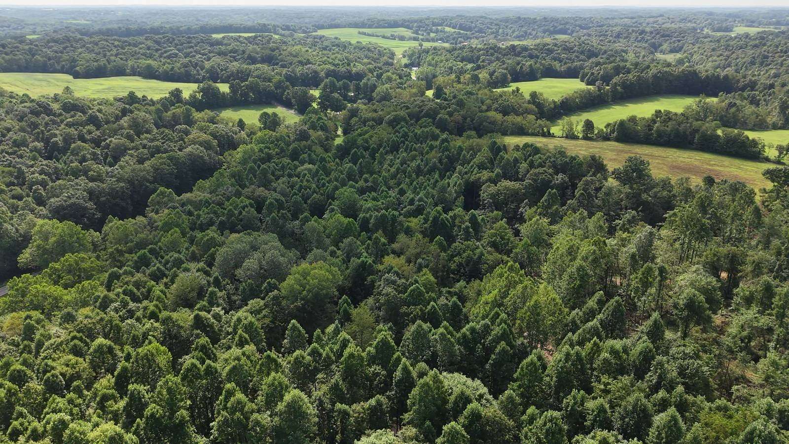 21 Acres of Recreational & Residential Land for Sale in Cutler, Ohio