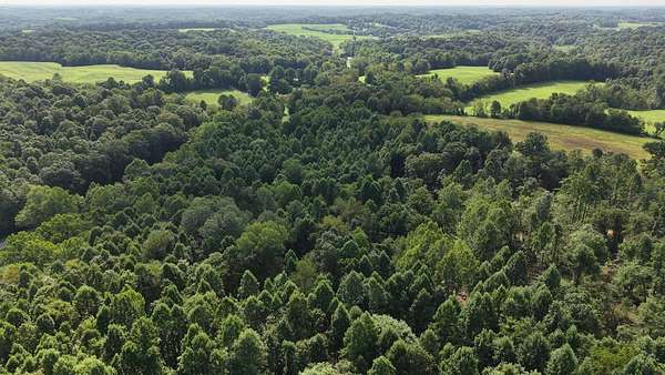 21 Acres of Recreational & Residential Land for Sale in Cutler, Ohio