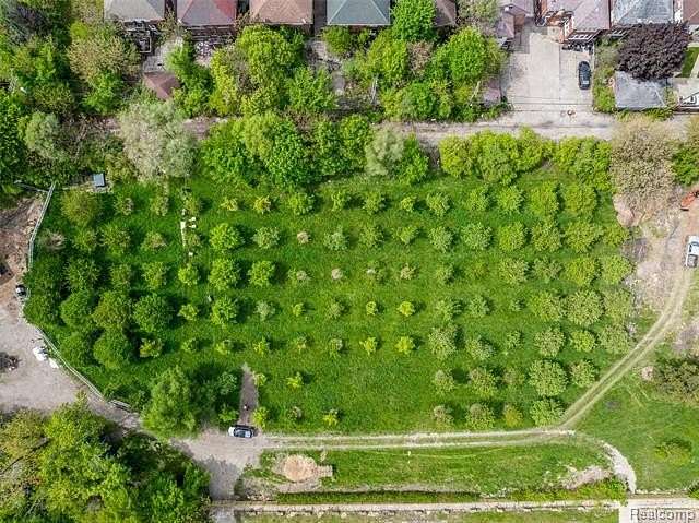 3.9 Acres of Improved Mixed-Use Land for Sale in Detroit, Michigan