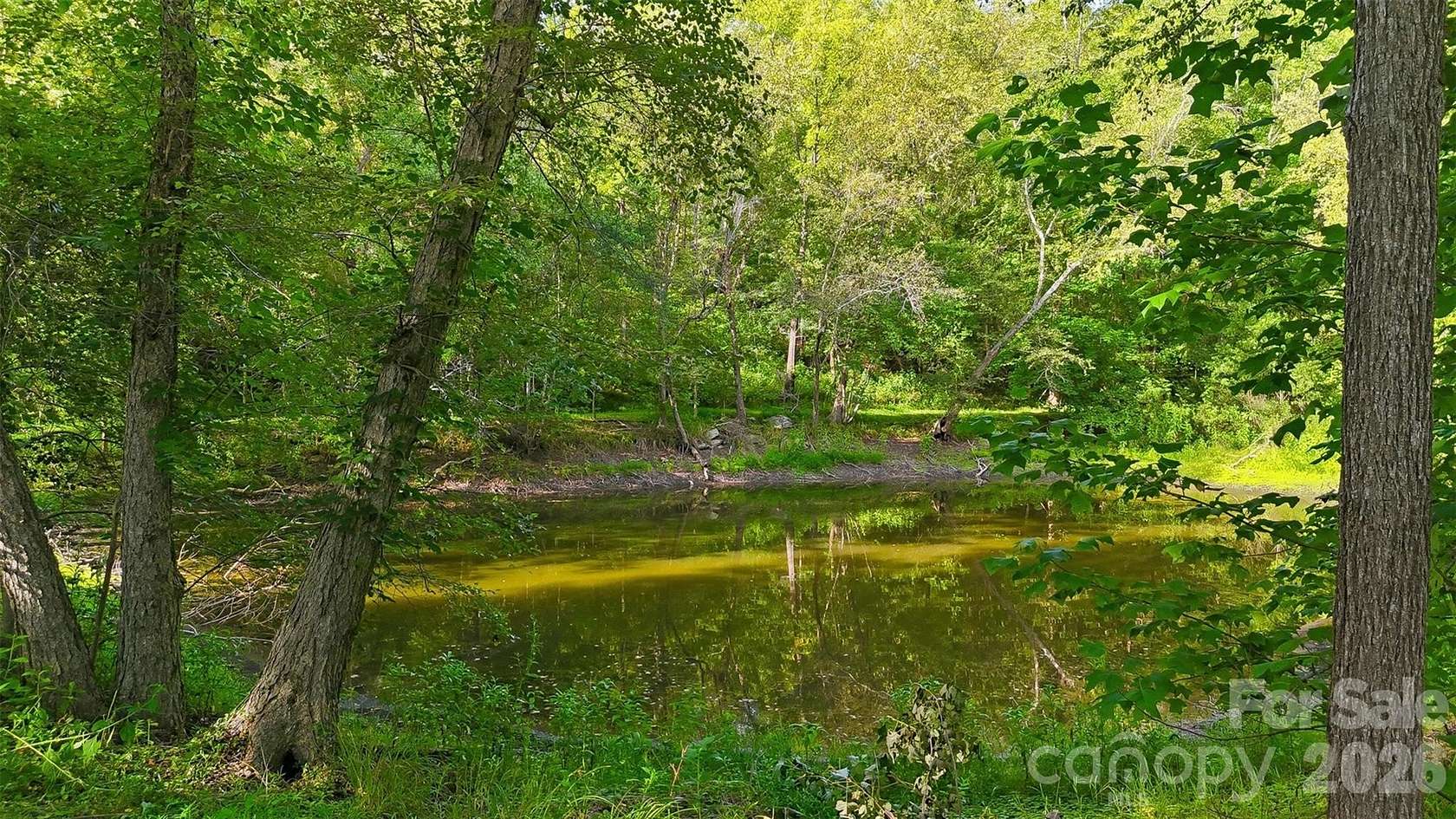 9.27 Acres of Land with Home for Sale in Taylorsville, North Carolina