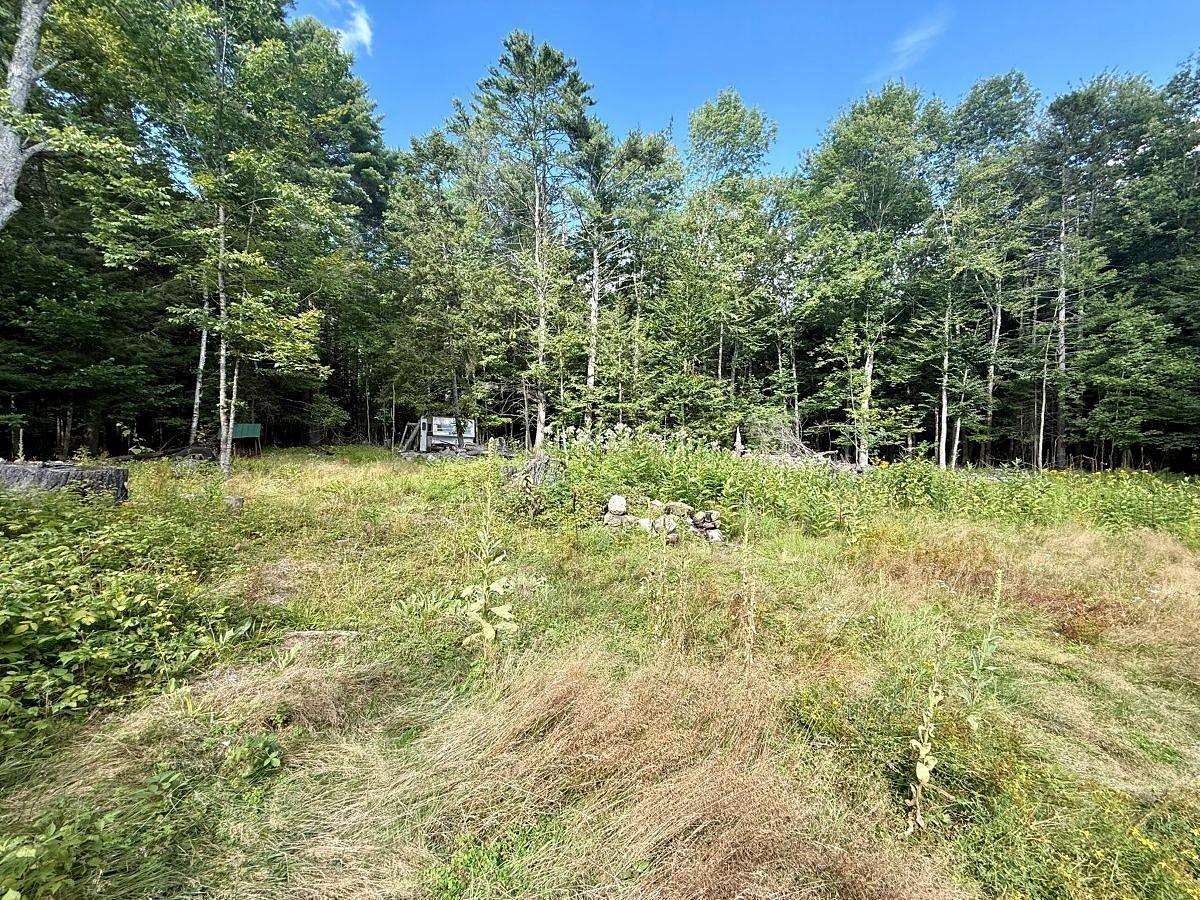 0.92 Acres of Residential Land for Sale in Wells, New York