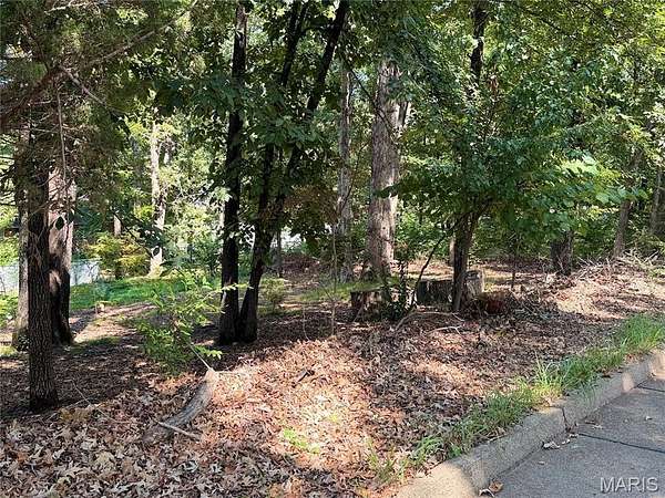 0.79 Acres of Residential Land for Sale in Poplar Bluff, Missouri