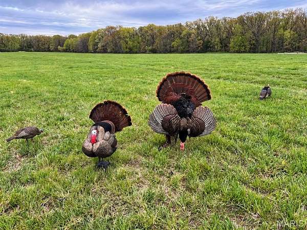 160 Acres of Recreational Land for Sale in Stover, Missouri