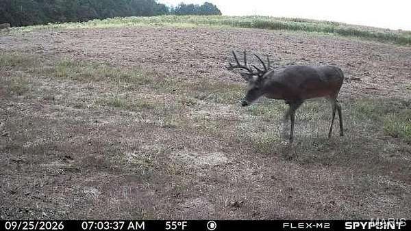 160 Acres of Recreational Land for Sale in Stover, Missouri