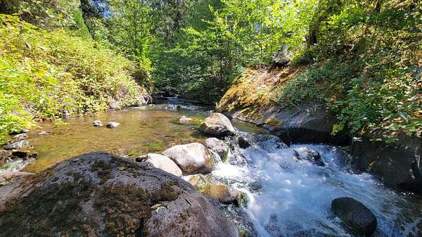 40 Acres of Recreational & Residential Land for Sale in Manton, California