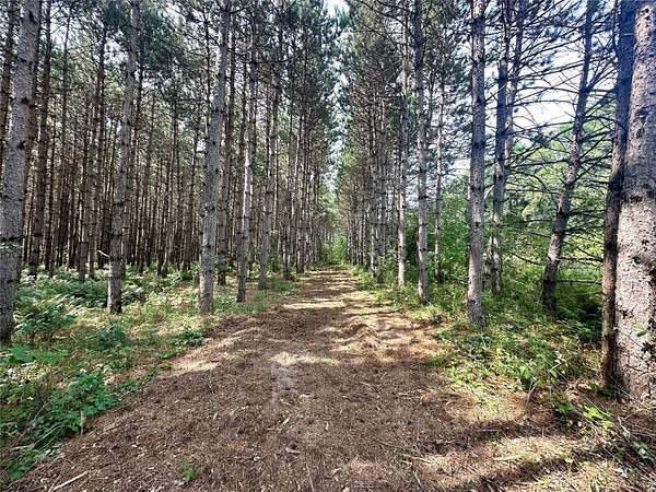 14.7 Acres of Recreational & Residential Land for Sale in Colfax, Wisconsin