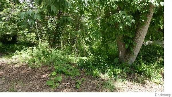 0.06 Acres of Residential Land for Sale in Lake Orion, Michigan