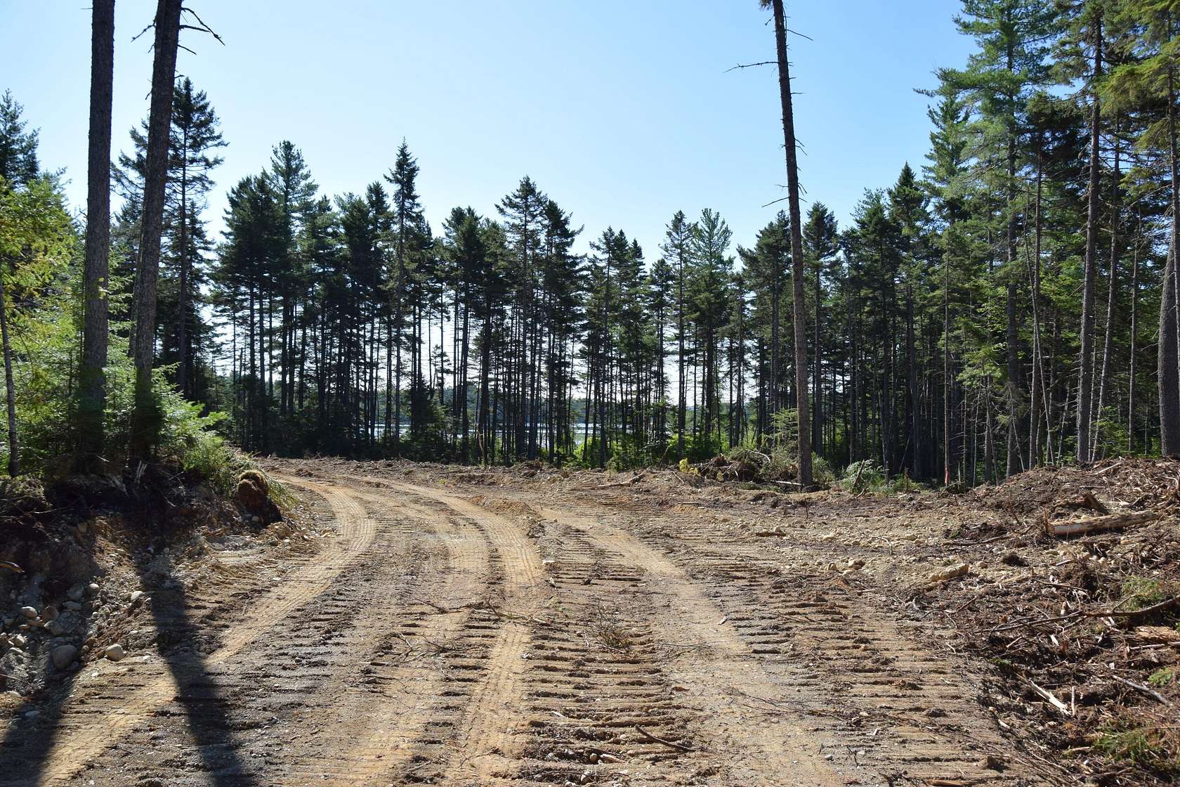 11 Acres of Land for Sale in Carrying Place Township, Maine