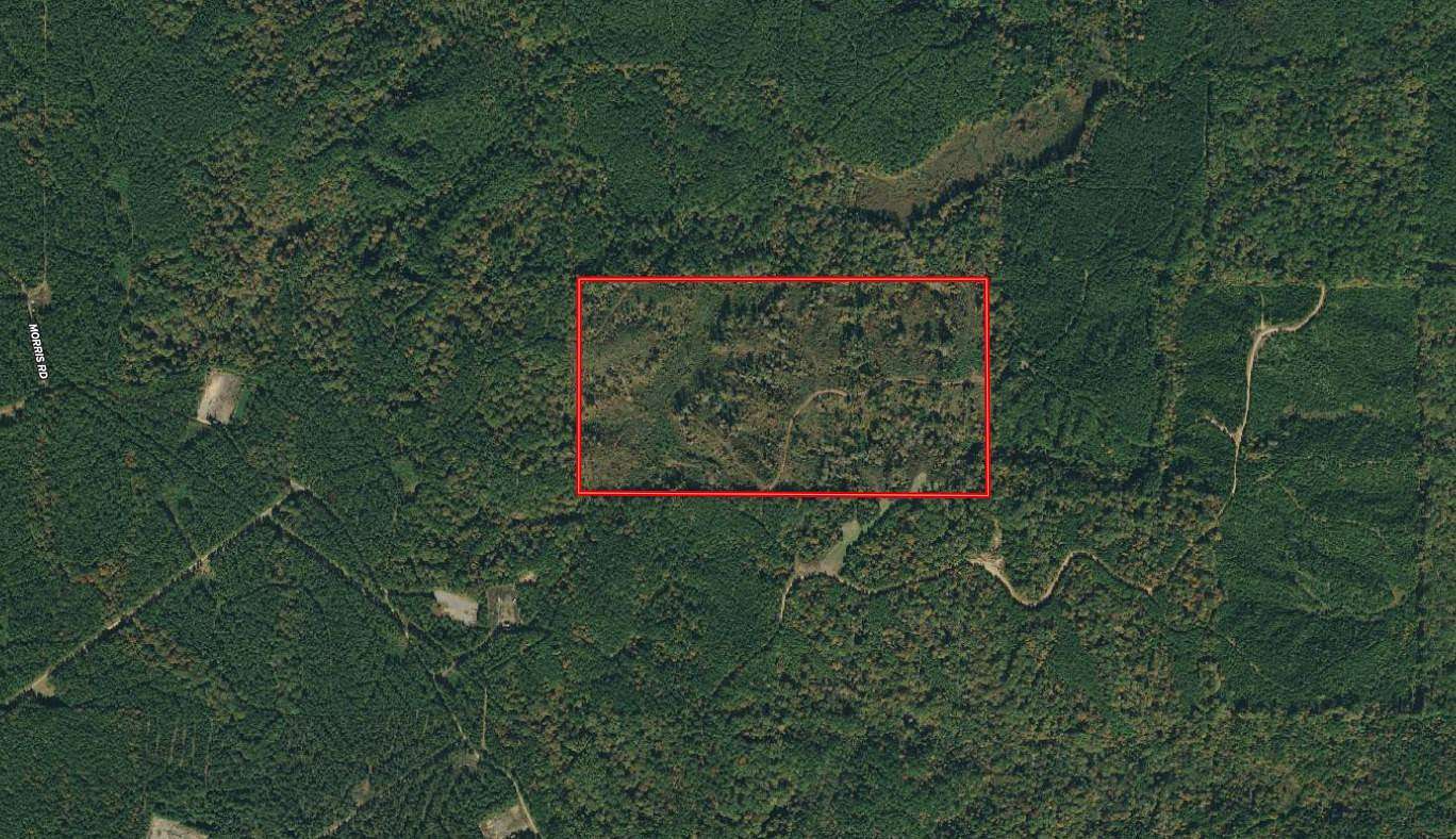 79.6 Acres of Land for Sale in Columbia, Louisiana