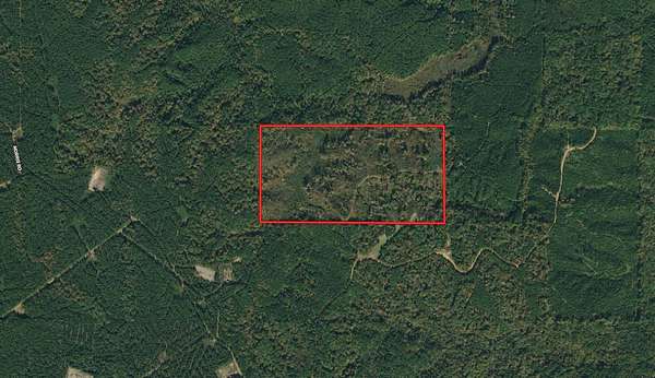 79.6 Acres of Land for Sale in Columbia, Louisiana