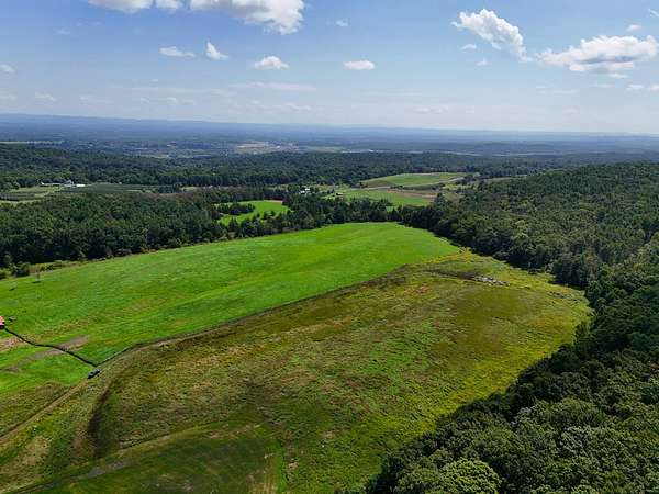 16.7 Acres of Land for Sale in Climax, New York