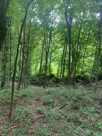 36.7 Acres of Recreational Land for Sale in Campbellsville, Kentucky