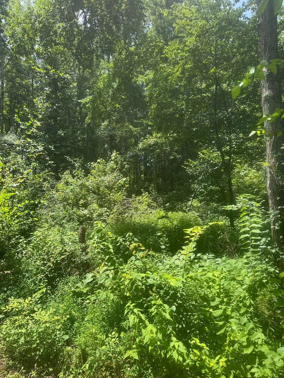 3.5 Acres of Residential Land for Sale in Belton, Kentucky