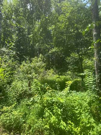 3.5 Acres of Residential Land for Sale in Belton, Kentucky
