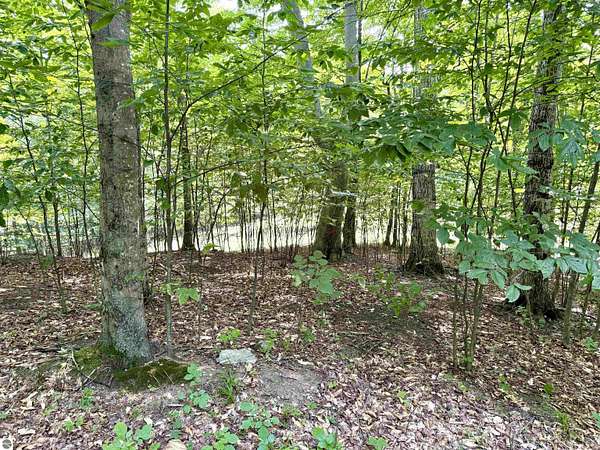 1.12 Acres of Residential Land for Sale in Empire, Michigan